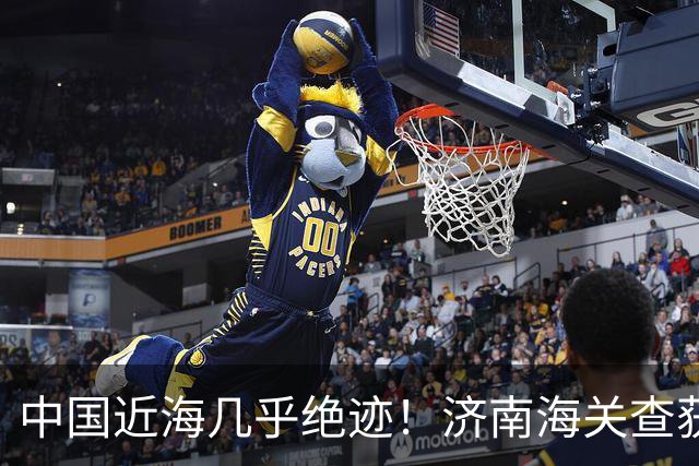中国近海几乎绝迹！济南海关查获17只手镯，竟是由极危"国宝"制成