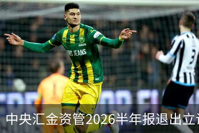中央汇金资管2026半年报退出立讯精密前十大股东名单