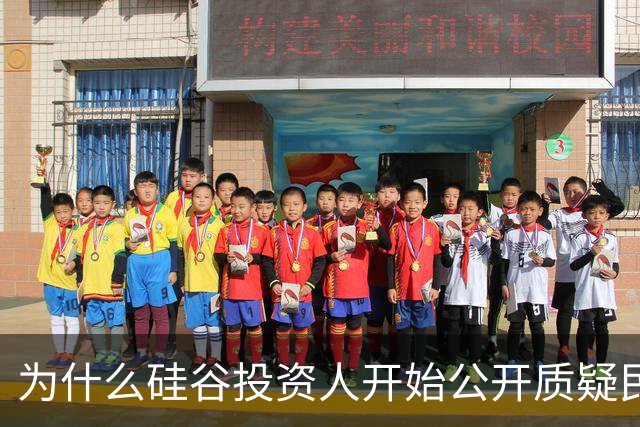 为什么硅谷投资人开始公开质疑民主？AI算力成了瓶颈