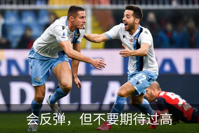 会反弹，但不要期待过高