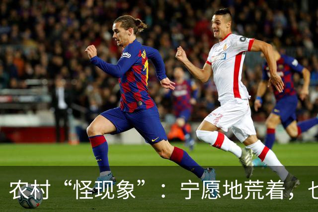 农村“怪现象”：宁愿地荒着，也不种粮食，把专家气够呛，咋回事