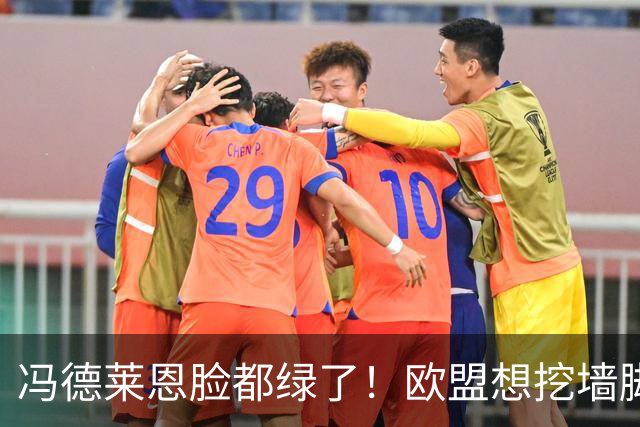冯德莱恩脸都绿了！欧盟想挖墙脚反被将一军，什么叫中国力量