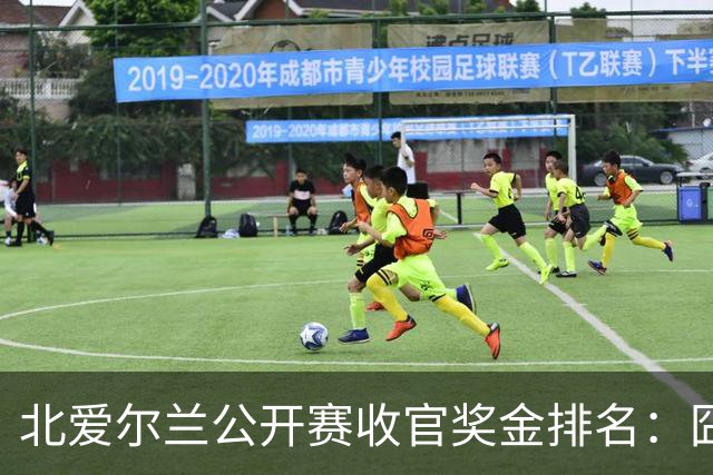 北爱尔兰公开赛收官奖金排名：囧哥夺冠96万，马叔第3赵心童第33