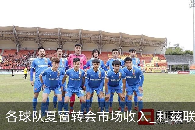 各球队夏窗转会市场收入 利兹联1.629亿高居榜首