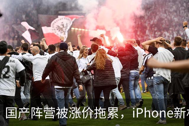 国产阵营被涨价拖累，iPhone新机中国销量增长29%