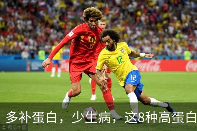 多补蛋白，少生病，这8种高蛋白换着吃，营养足身体舒坦不遭罪