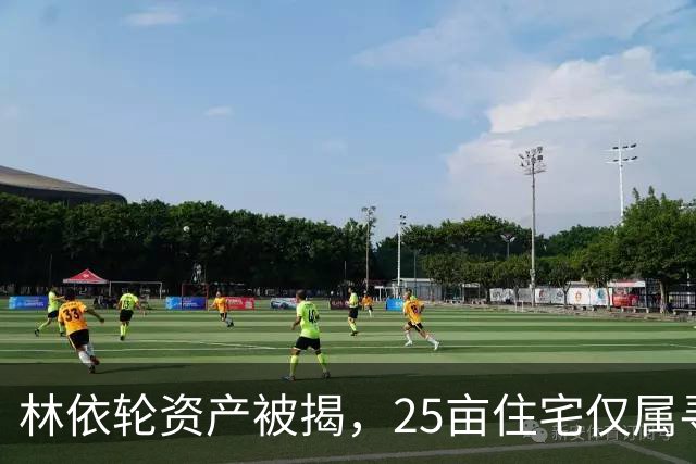 林依轮资产被揭，25亩住宅仅属寻常，同龄人里气色反倒更胜