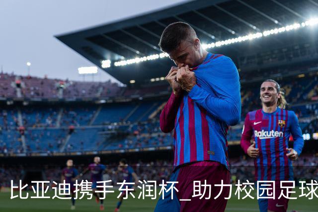 比亚迪携手东润杯 助力校园足球少年圆梦工体