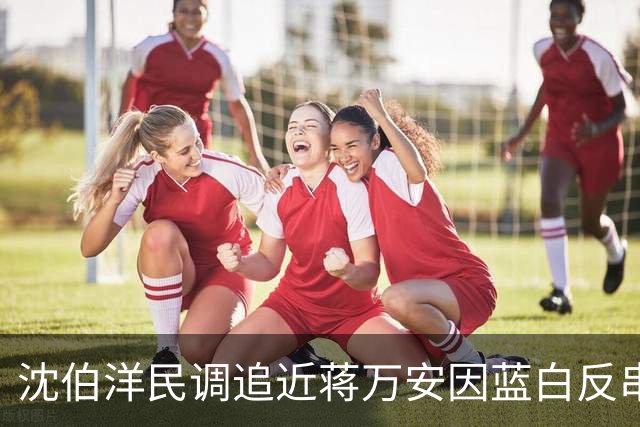 沈伯洋民调追近蒋万安因蓝白反串？台作家：绿营将再现“大罢免”惨败