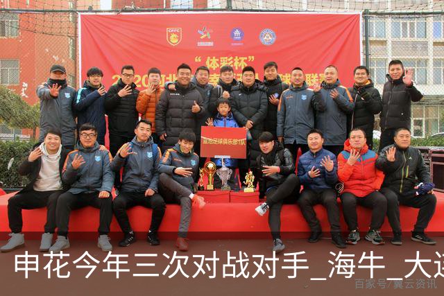 申花今年三次对战对手 海牛 大连 町田 输得最痛心 还得是足协杯8强赛