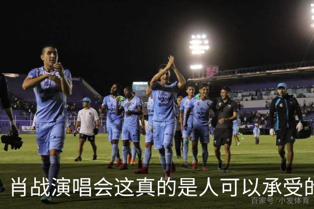 肖战演唱会这真的是人可以承受的吗？散场后还设心理疏导岗
