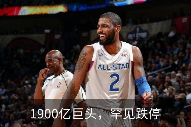 1900亿巨头，罕见跌停