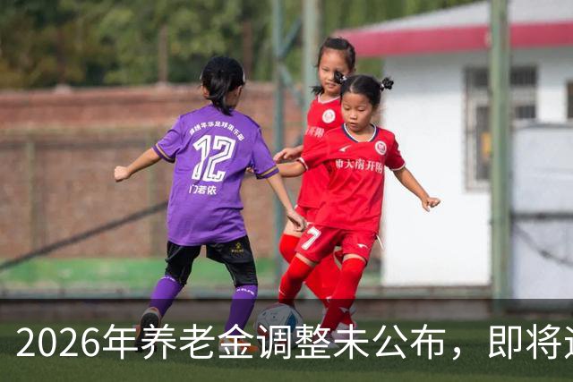 2026年养老金调整未公布，即将迎来人社部第三季度会议，会提及吗