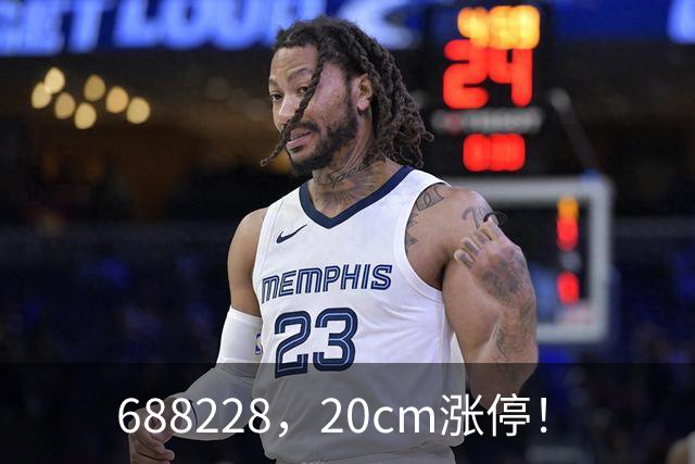 688228，20cm涨停！